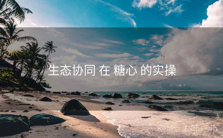 生态协同 在 糖心 的实操 生态协同 在 糖心 的实操