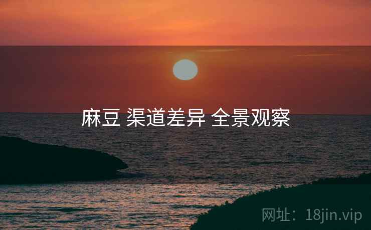 麻豆 渠道差异 全景观察