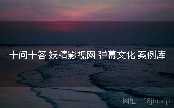 十问十答 妖精影视网 弹幕文化 案例库 十问十答 妖精影视网 弹幕文化 案例库