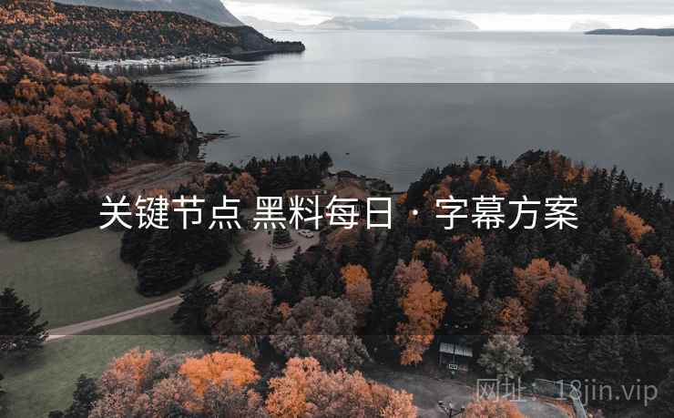 关键节点 黑料每日 · 字幕方案 关键节点 黑料每日 · 字幕方案