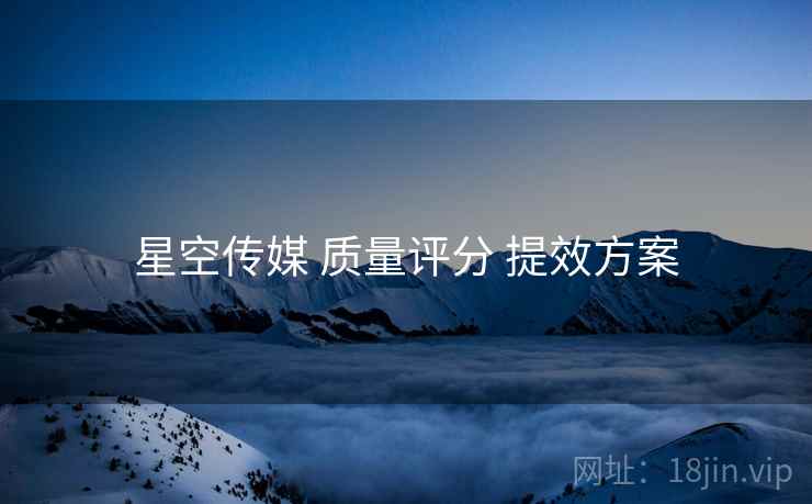 星空传媒 质量评分 提效方案