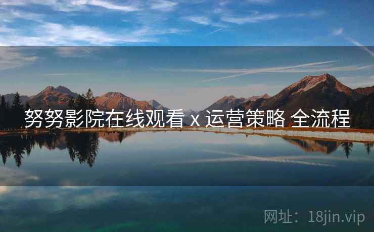 努努影院在线观看 x 运营策略 全流程