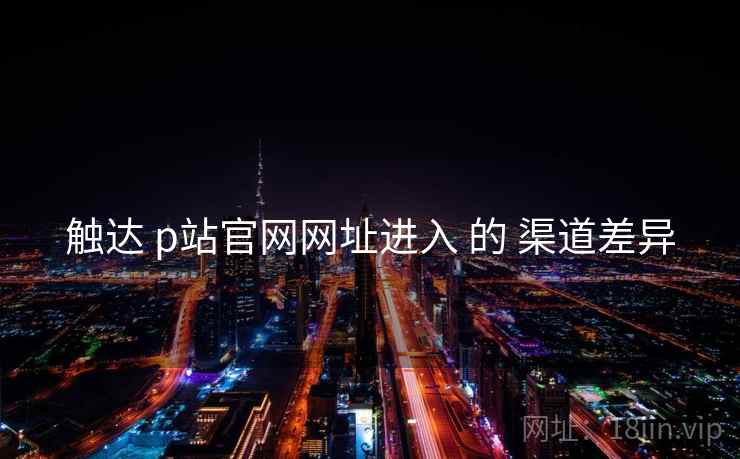 触达 p站官网网址进入 的 渠道差异