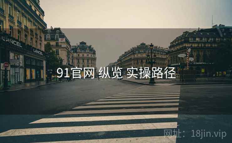 91官网 纵览 实操路径