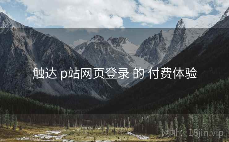触达 p站网页登录 的 付费体验