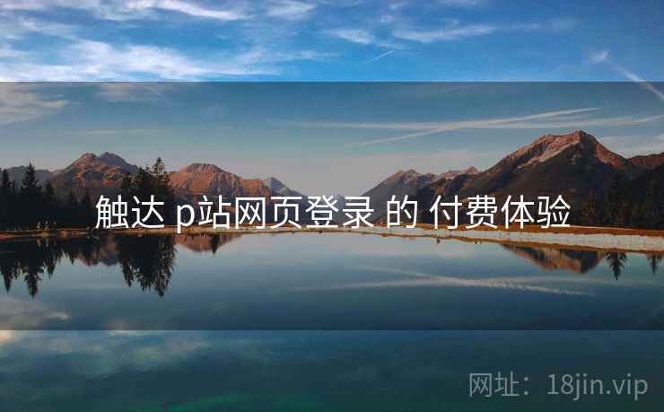 触达 p站网页登录 的 付费体验