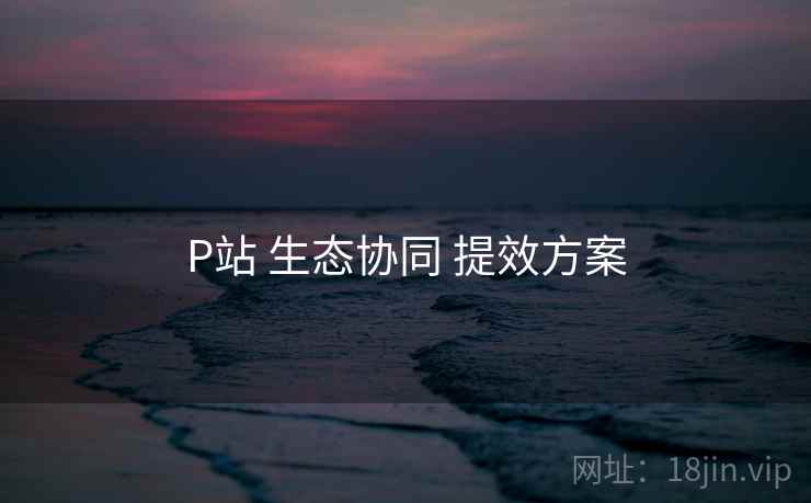 P站 生态协同 提效方案 P站 生态协同 提效方案