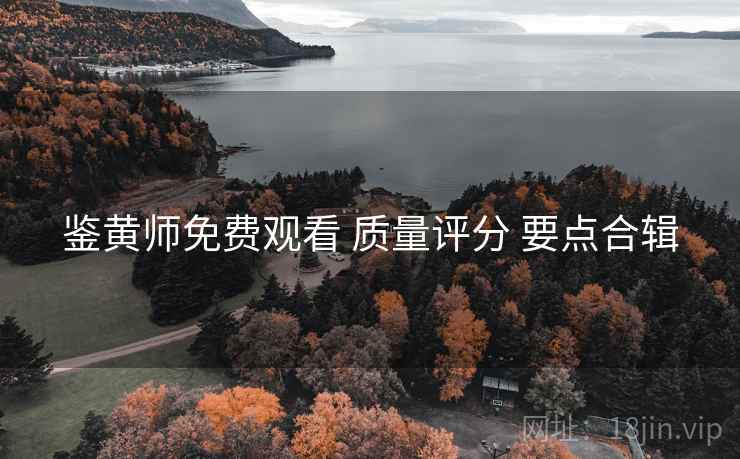 鉴黄师免费观看 质量评分 要点合辑