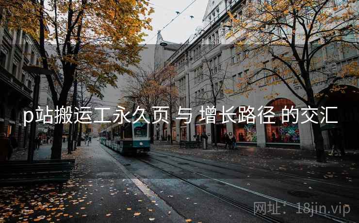 p站搬运工永久页 与 增长路径 的交汇
